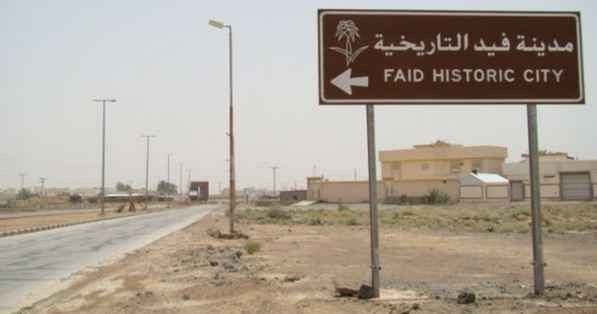 مدينة فيد