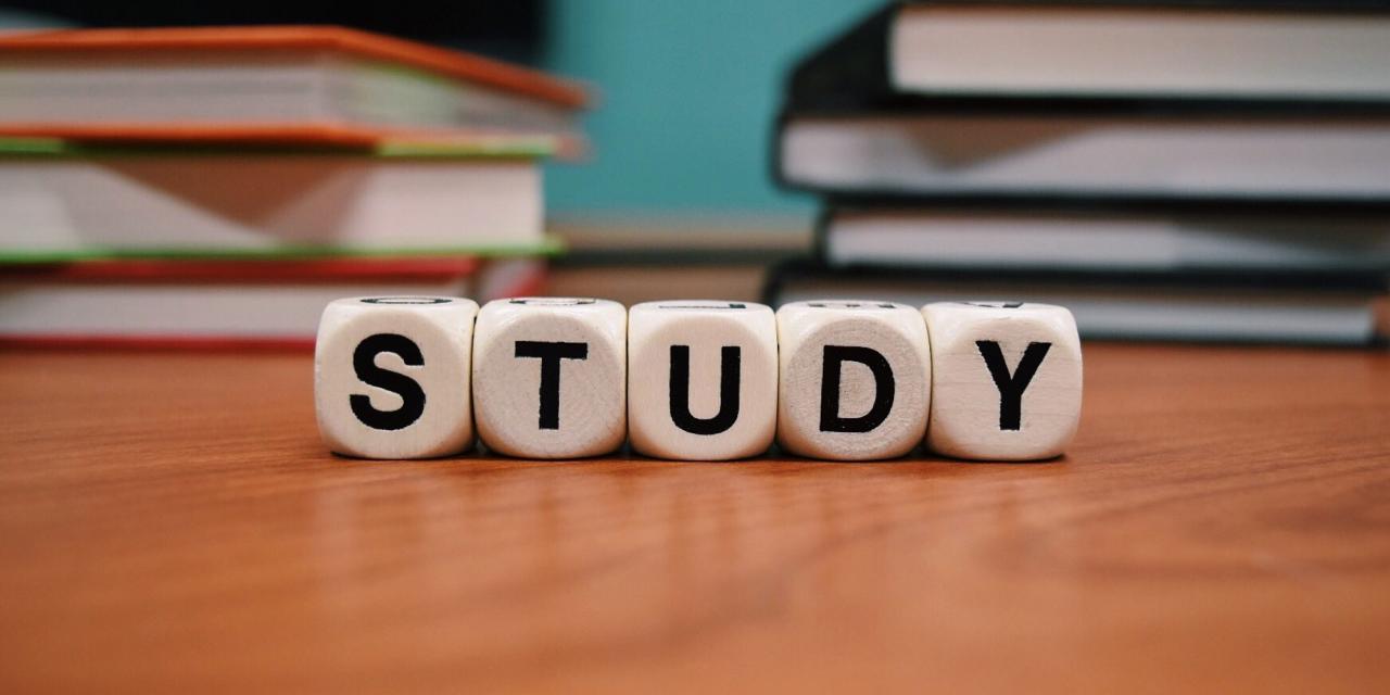الدراسة فى سويسرا