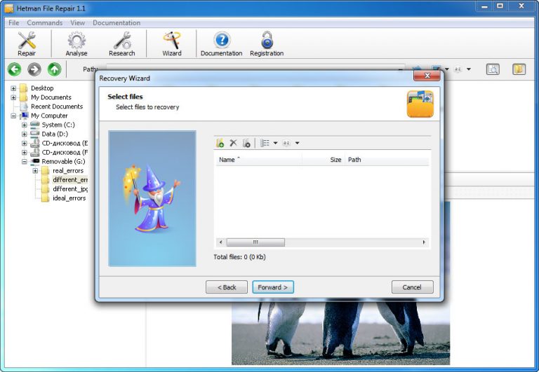 تحميل برنامج Hetman File Repair لاصلاح الملفات التالفة علي الكمبيوتر