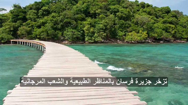 جزيرة الفرسان