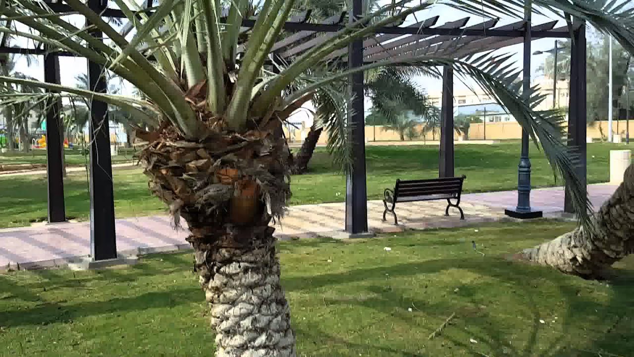 حديقة وودى الرياض