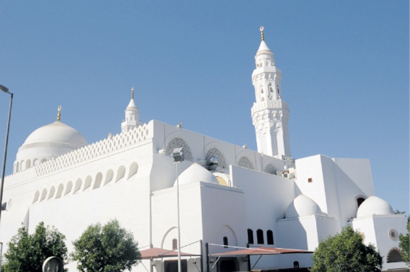 السمجد الابيض