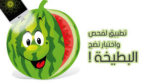 نتيجة بحث الصور عن تطبيق watermelon prober