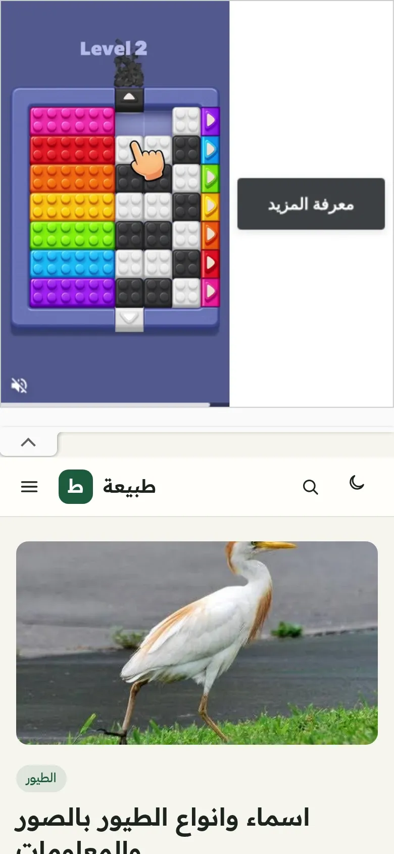 لقطة شاشة لمشروع طبيعة على الموبايل